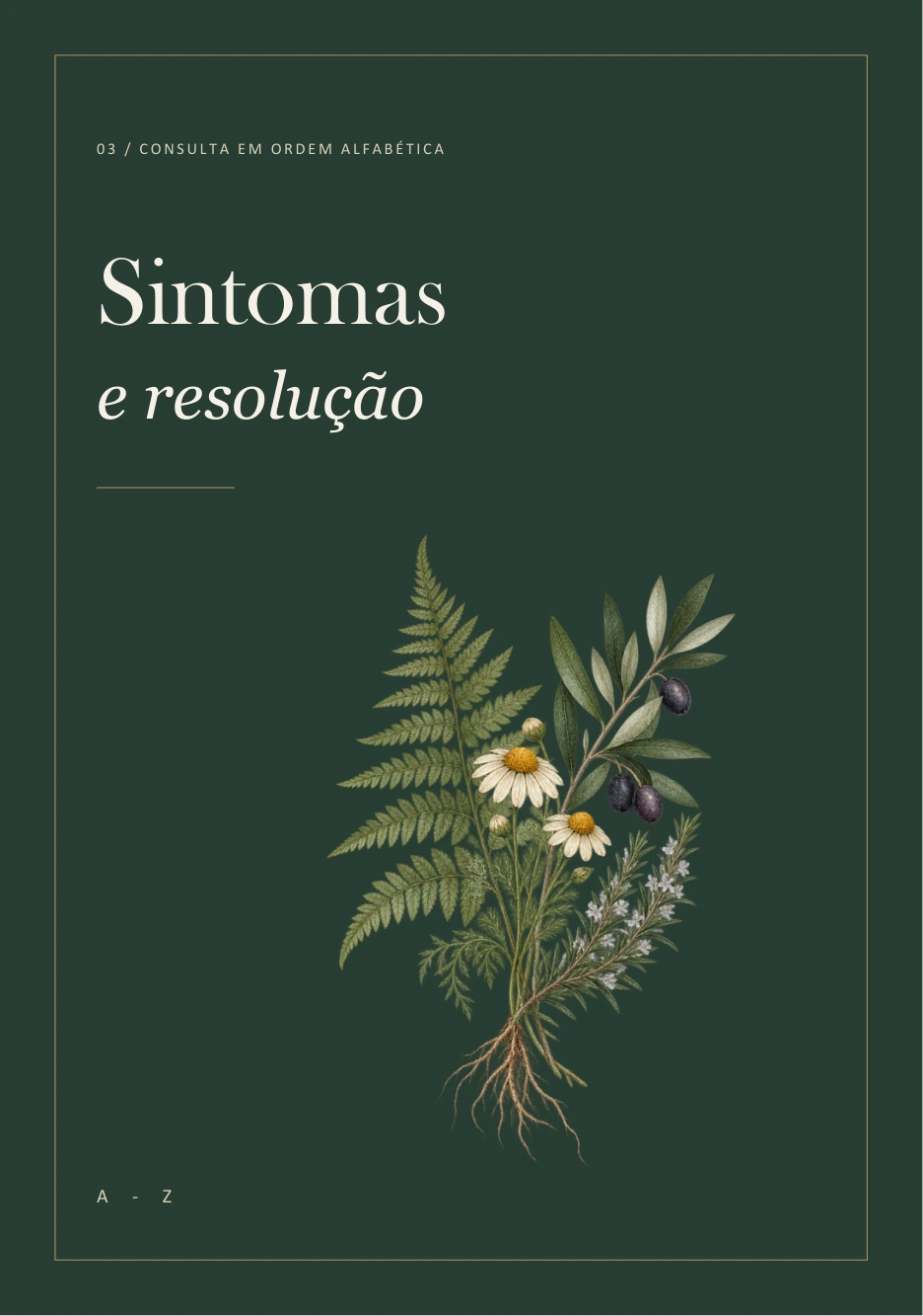 Página de abertura da seção Sintomas e resolução
