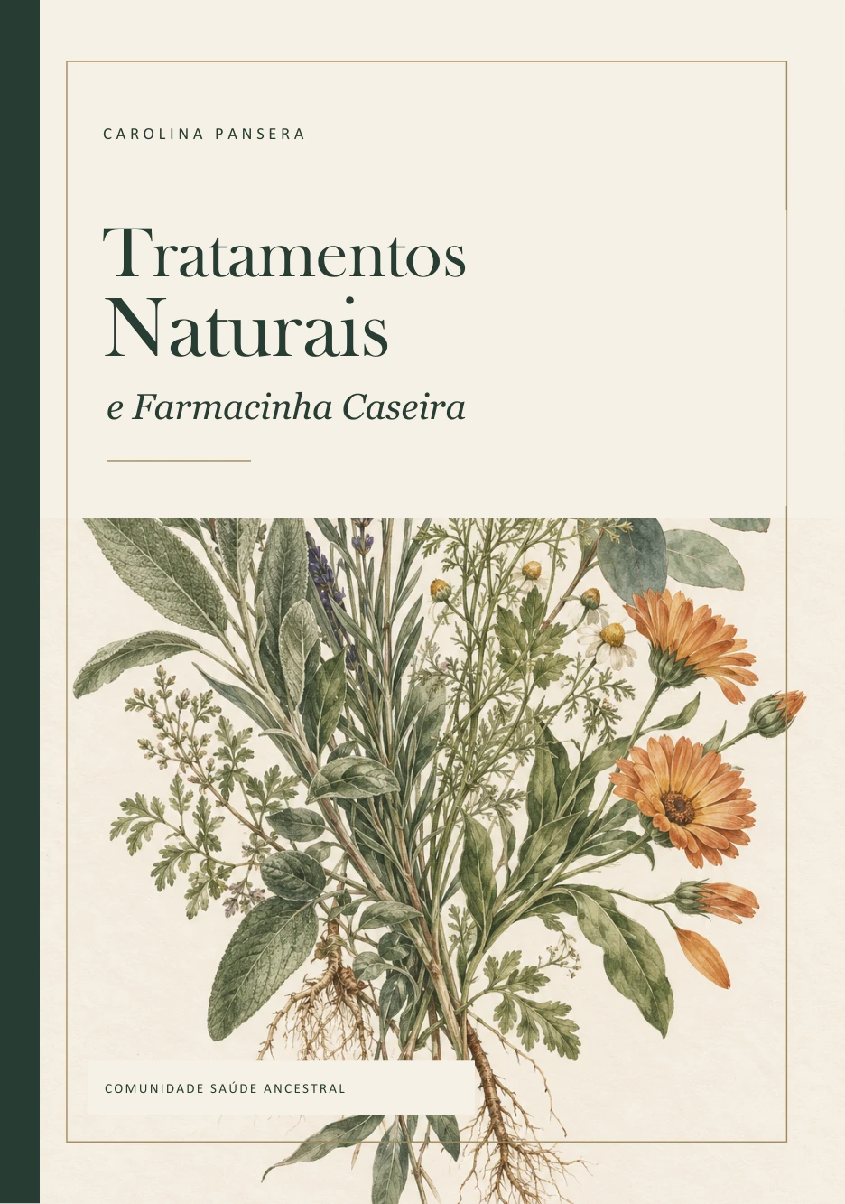 Capa do ebook Tratamentos Naturais e Farmacinha Caseira, de Carolina Pansera